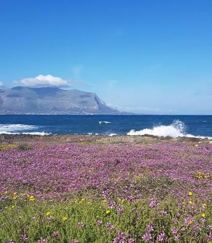 Casa Tura 伊索拉戴里费米尼